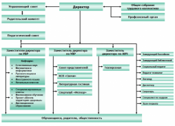 Структура органов управления (схема)