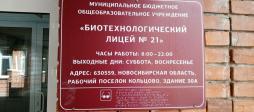 Брайль